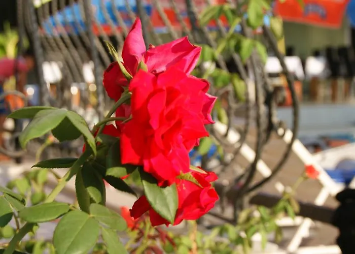 Hotel Nazar Garden Fethiye