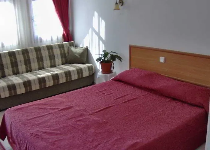 Nazar Garden フェティエ